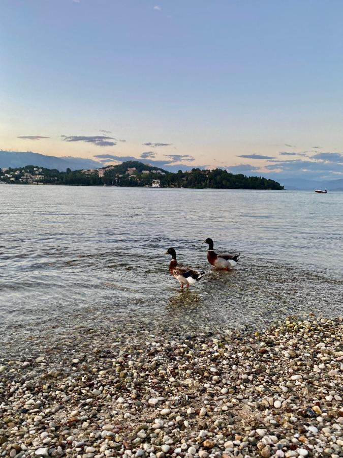 Montsenigos Garden Апартаменты