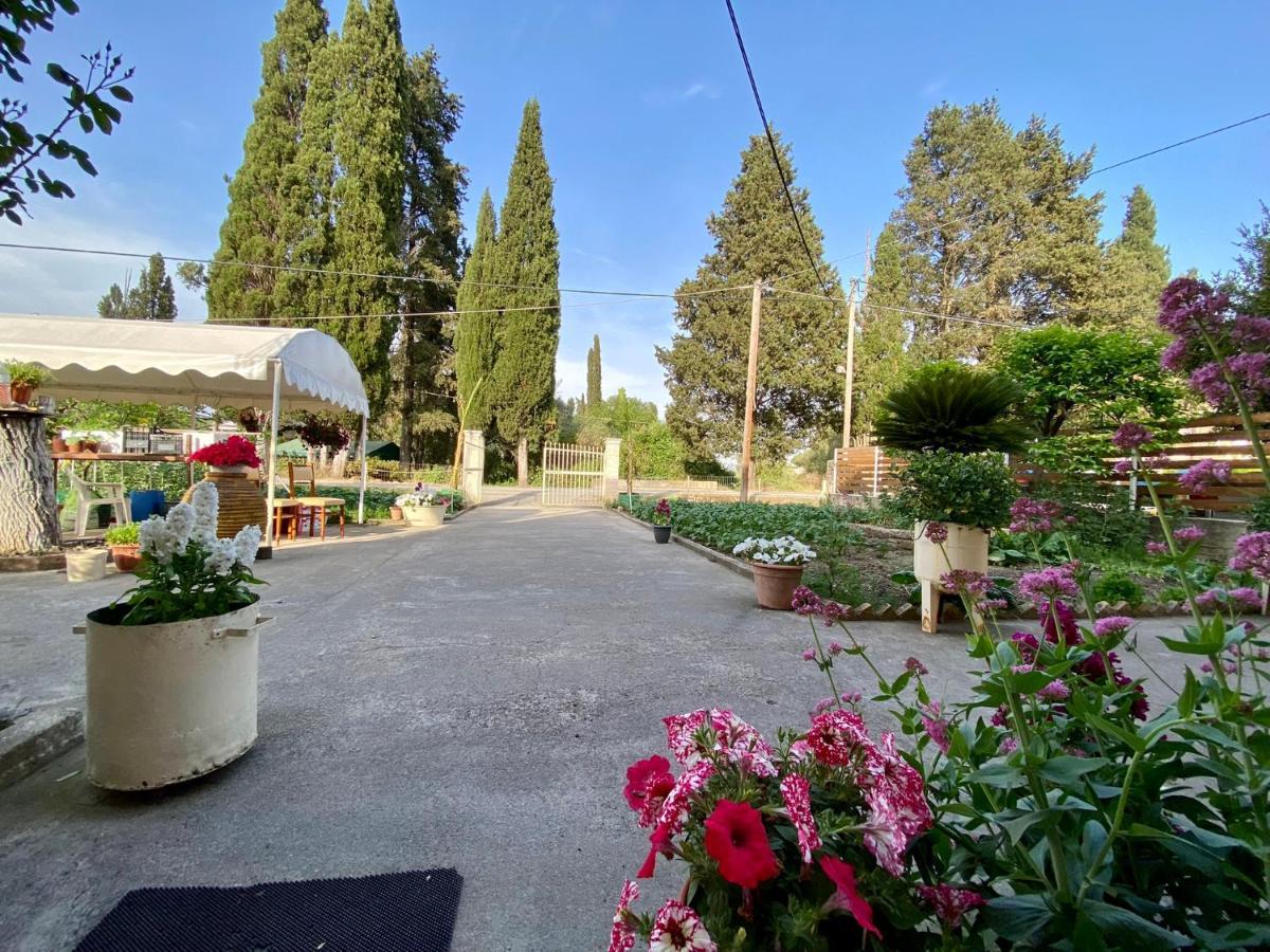 Montsenigos Garden Апартаменты *